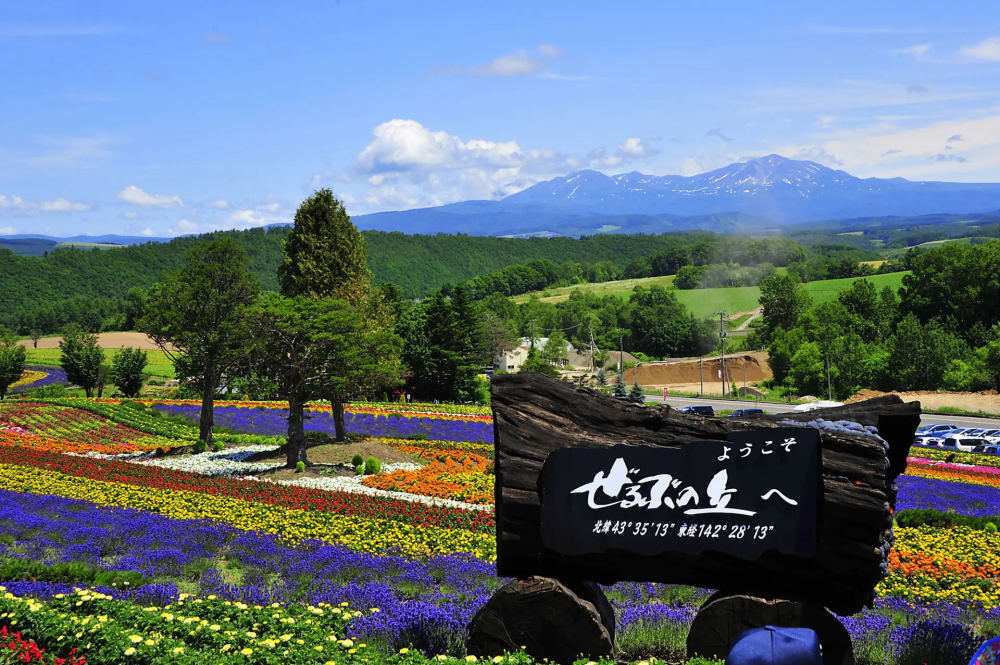 Mixed gardens at Zerubu Hill, Daisan, Biei, Hokkaido
