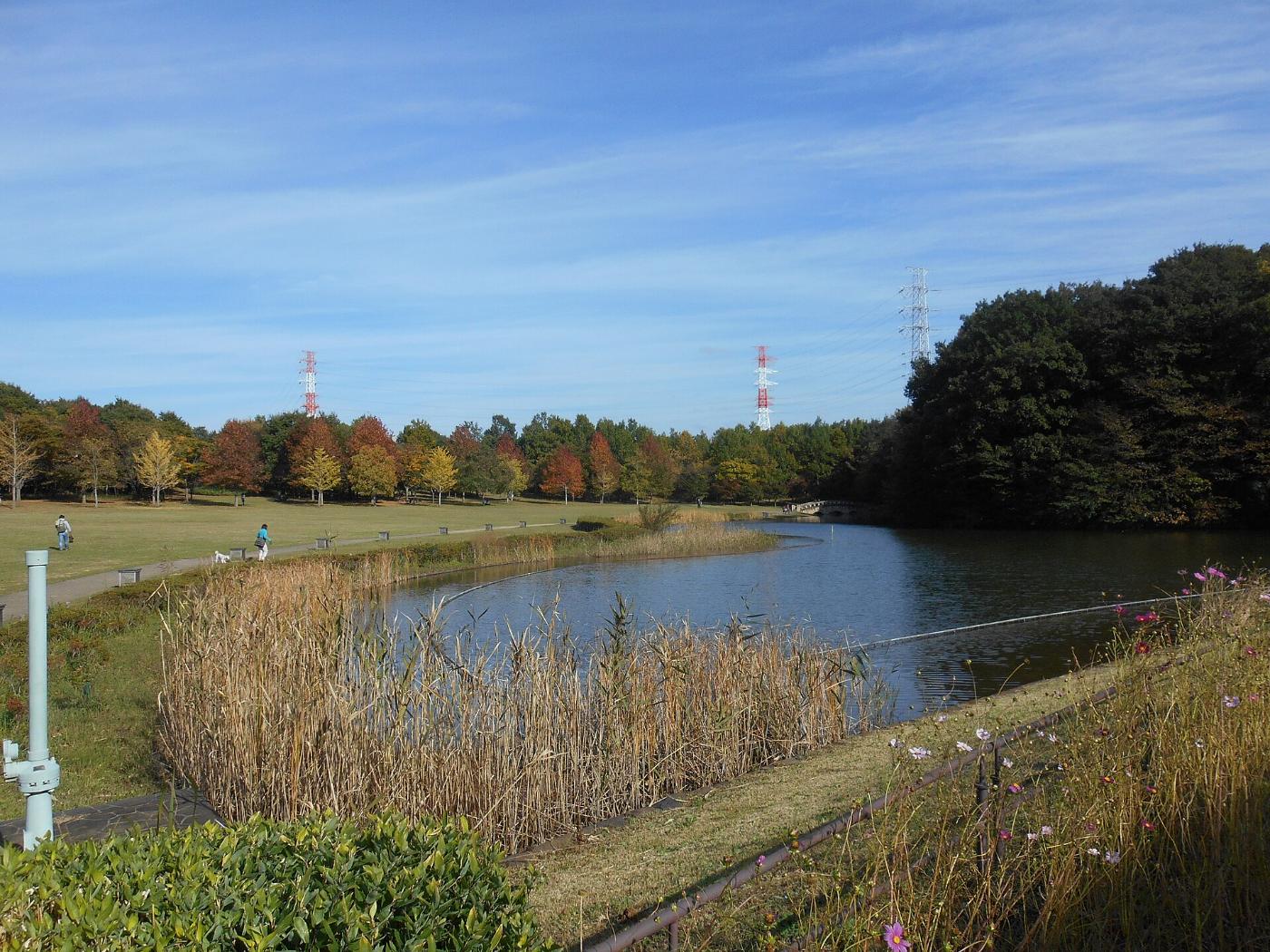 Mixed gardens at Hokuso Hananooka Park, Inzai, Chiba