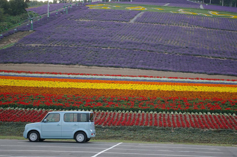 Lavender at Hokuseiyama Lavender Park, Nakafurano, Hokkaido
