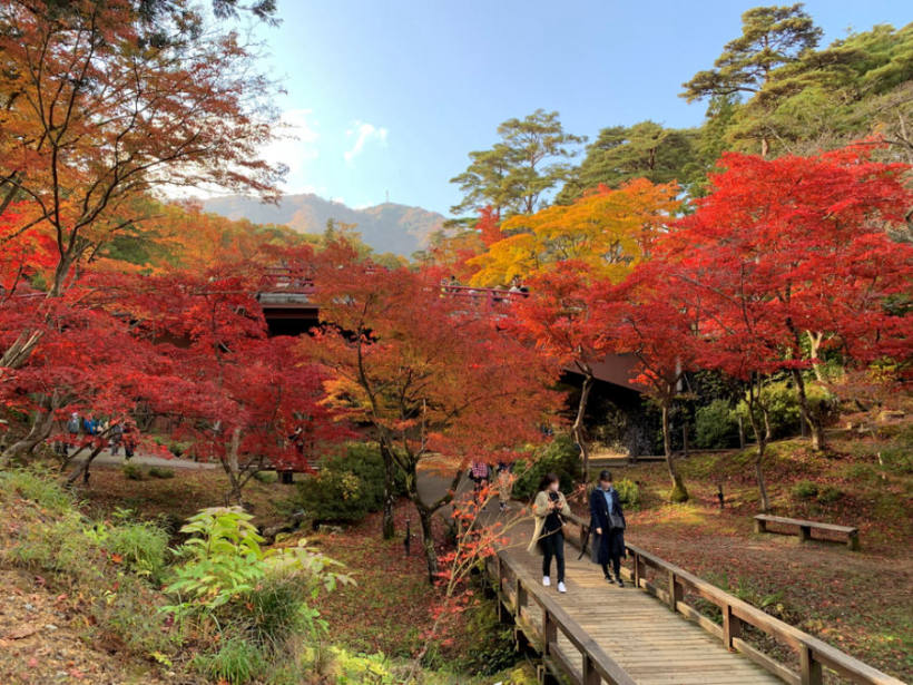 Autumn leaves at Negoro-ji Temple Momijidani, Negoro, Iwade, Wakayama