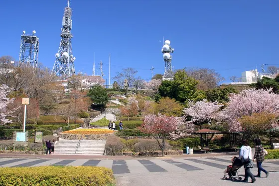 Cherry blossom at Bizan Park (Tokushima)