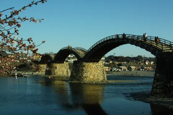 Cherry blossom at Kintaikyo Bridge (Kikko Park)