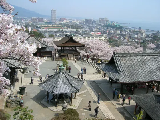 Cherry blossom at Mii-dera Temple