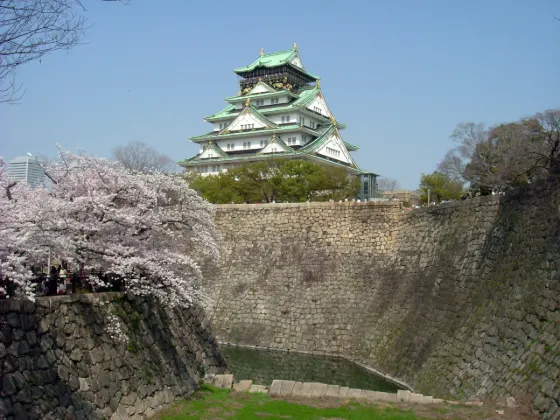 Cherry blossom at Osaka Castle Park