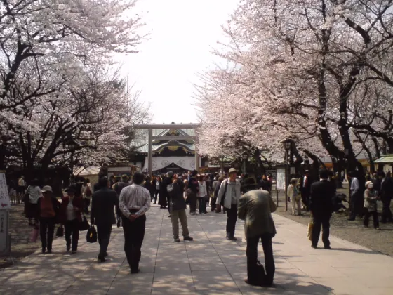 Cherry blossom at Yasukuni Shrine