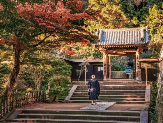 Autumn leaves at Engakuji Temple