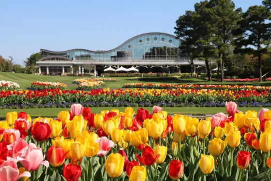 Mixed gardens at Florante Miyazaki (Miyazaki)