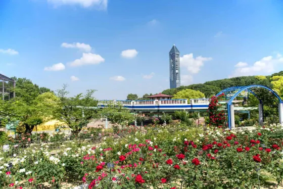 Mixed gardens at Higashiyama Zoo and Botanical Gardens (Aichi)