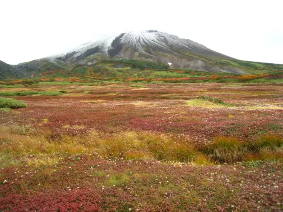 Autumn leaves at Mount Asahidake