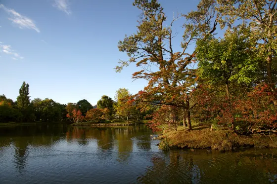 Autumn leaves at Nakajima Park