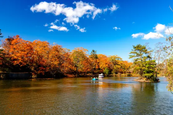 Autumn leaves at Onuma Quasi-National Park