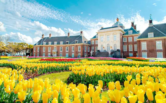 Tulips at Huis Ten Bosch (Nagasaki)