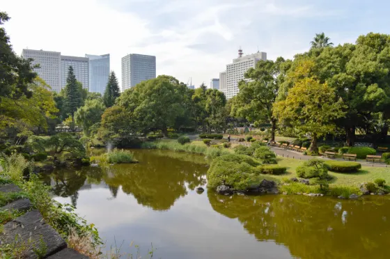 Kinmokusei at Hibiya Park Kinmokusei