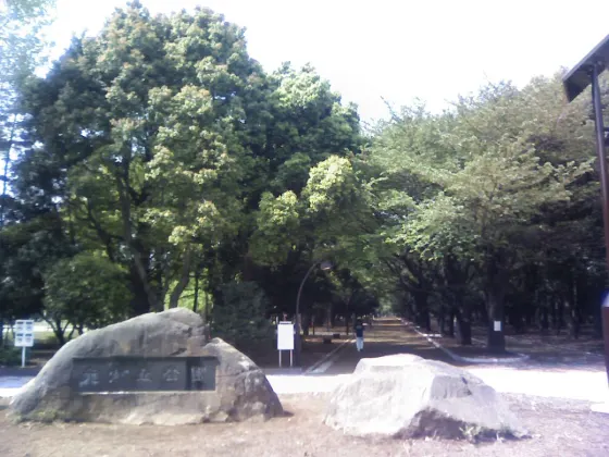 Kinmokusei at Hikarigaoka Park Kinmokusei