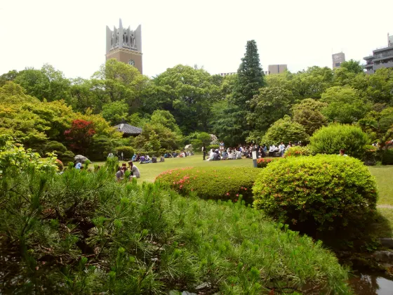 Kinmokusei at Okuma Garden Kinmokusei (Waseda)