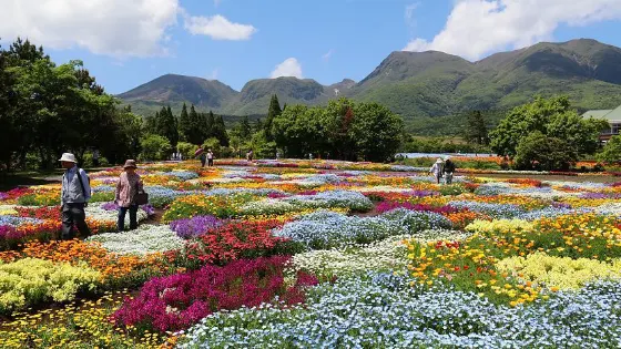 Mixed gardens at Kuju Flower Park (Oita)