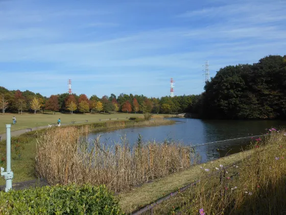Mixed gardens at Hokuso Hananooka Park