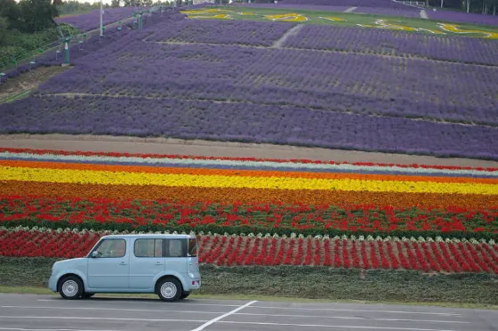 Lavender at Hokuseiyama Lavender Park