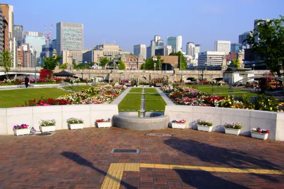 Roses at Nakanoshima Park Rose Garden
