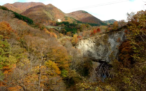 Autumn leaves at Akiu Great Falls