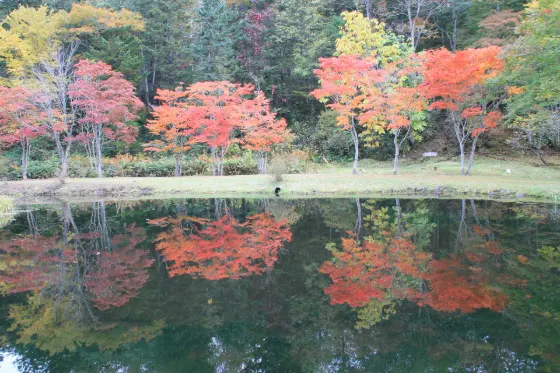 Autumn leaves at Fukuhara Sanso