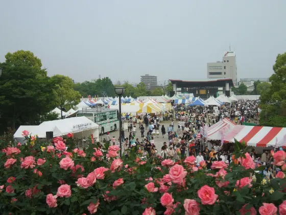 Roses at Fukuyama Rose Park