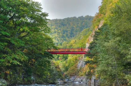 Autumn leaves at Jozankei