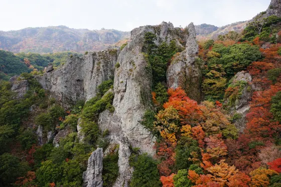 Autumn leaves at Kankakei Gorge (Shodoshima)