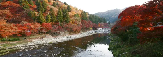 Autumn leaves at Korankei
