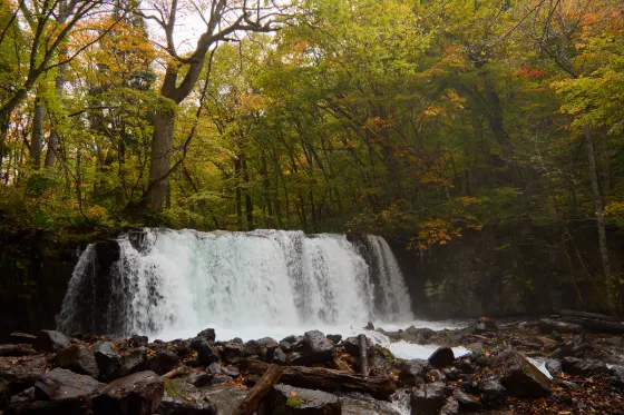 Autumn leaves at Oirase Gorge