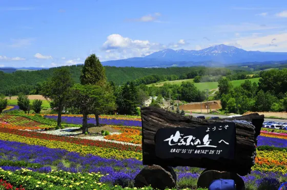 Mixed gardens at Zerubu Hill